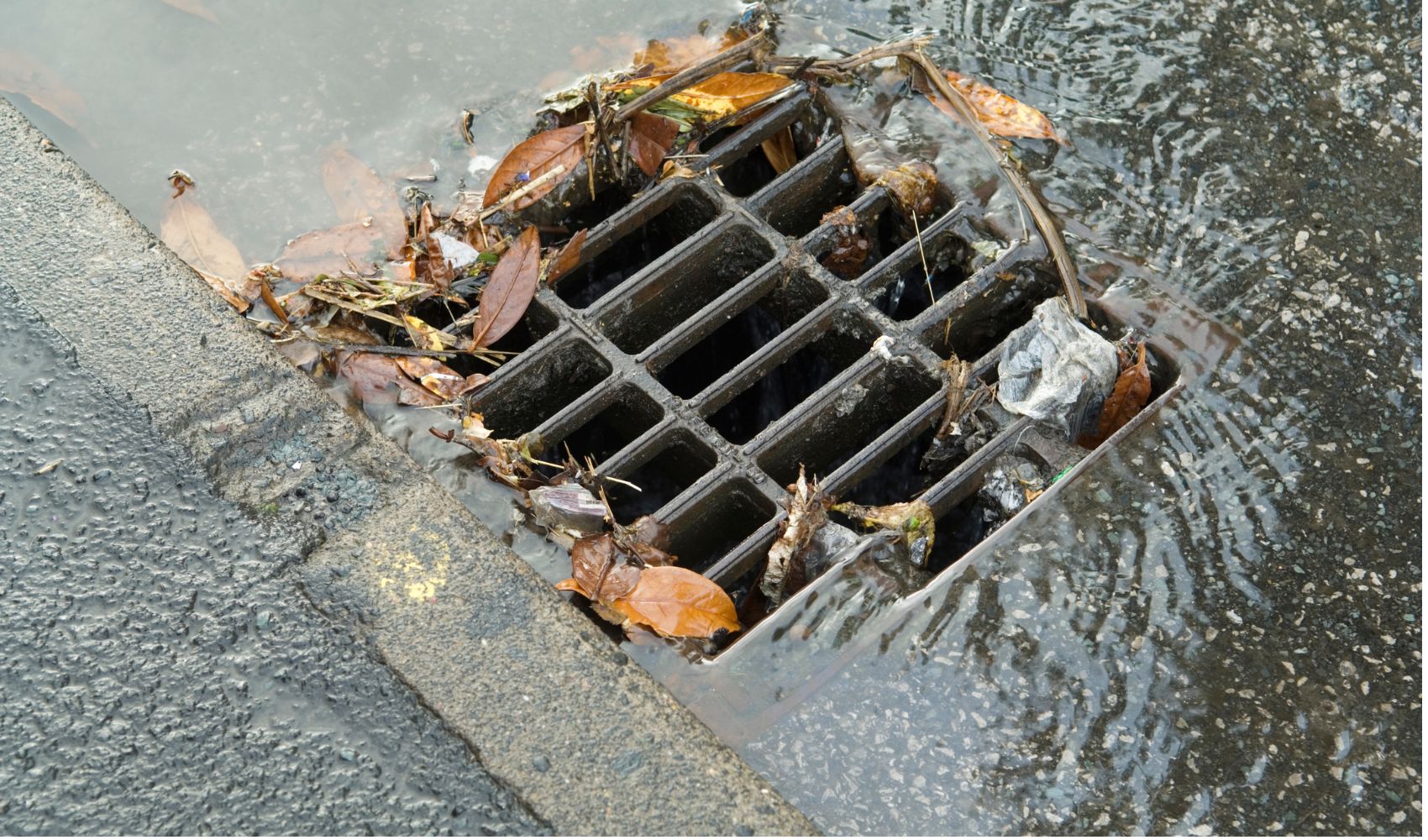 regen in de straat met rioolkolk waar herfstbladeren liggen